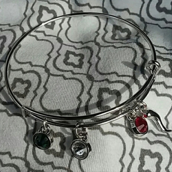 Charm Bracelet / Expandable Charm Bracelet - Picture 4 of 4